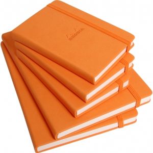 Rhodia Webnotebooks (Dot Grid, Blank or Lined Paper Format) 5 1/2